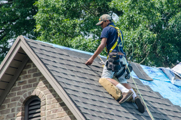 Best Roof Gutter Cleaning  in Middleburg Heights, OH